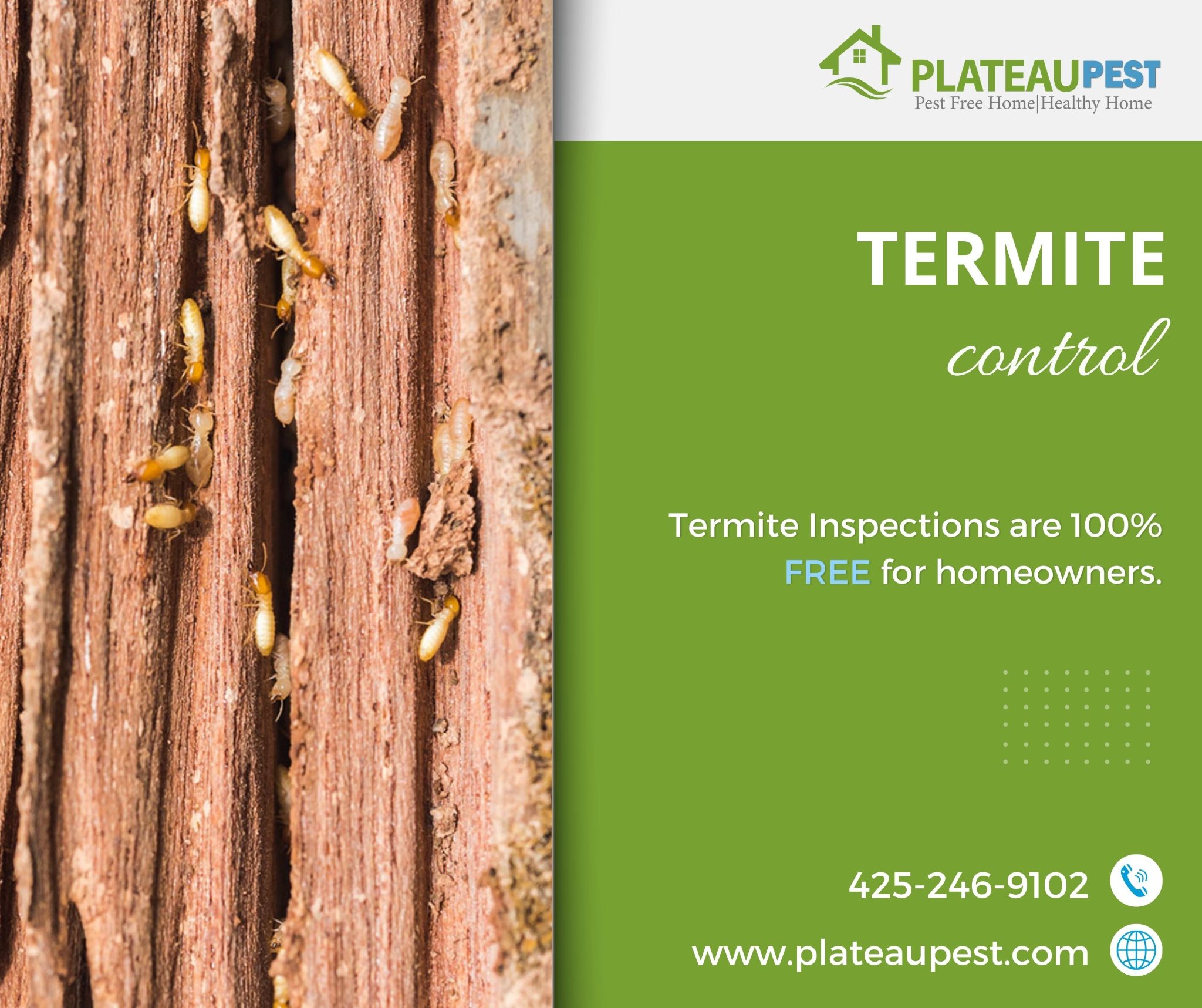 Blog - Plateau Pest Control LLC