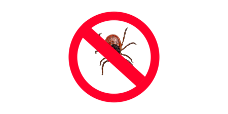 tick-removal-service